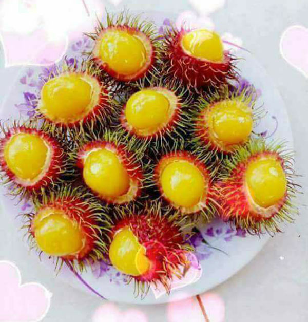chom chom ruot vang 80 nghin/kg duoc tin do an vat sai gon rao riet tim mua - 11