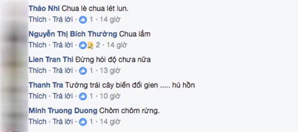 chom chom ruot vang 80 nghin/kg duoc tin do an vat sai gon rao riet tim mua - 8