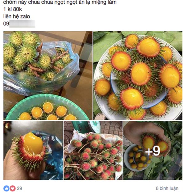 chom chom ruot vang 80 nghin/kg duoc tin do an vat sai gon rao riet tim mua - 3