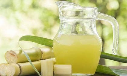 Mía giải khát và chữa bệnh ngày hè