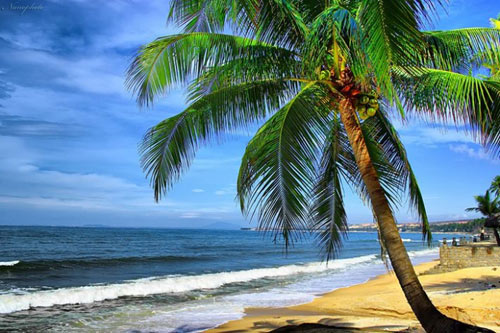 Hè đến rồi, rủ ngay đồng bọn đến 10 bãi biển siêu 