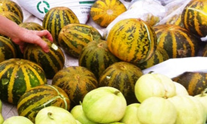 Cách chọn dưa lê, dưa bở ngon và an toàn