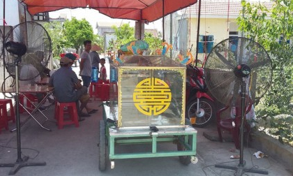 Bắt người em chém anh ruột tử vong, chị dâu nhập viện