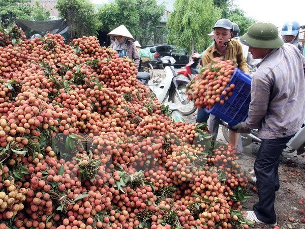 20170601200358-vai-thieu-5-xahoi.com.vn-w600-h450