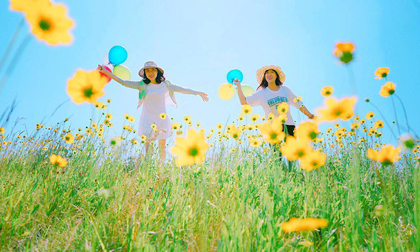 12 cung Hoàng đạo sợ bị mất đi thứ gì nhất?