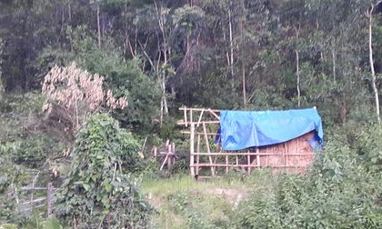 Con gái phát hiện thi thể cha phân hủy bên bìa rừng