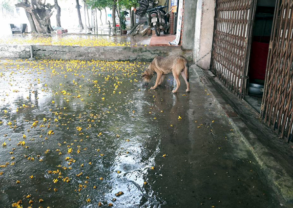 Hà Nội: Một số nơi đã xảy ra mưa rào, chính thức chấm dứt đợt nắng nóng kỷ lục - Ảnh 2.