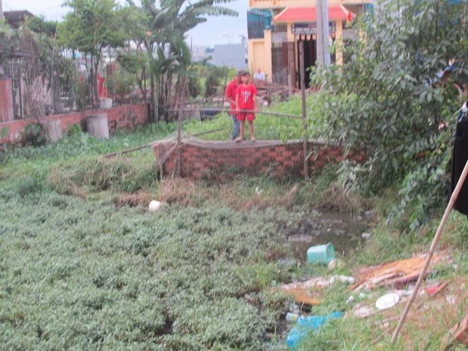 Chồng hờ truy sát vợ, quăng xuống ruộng rau - 1