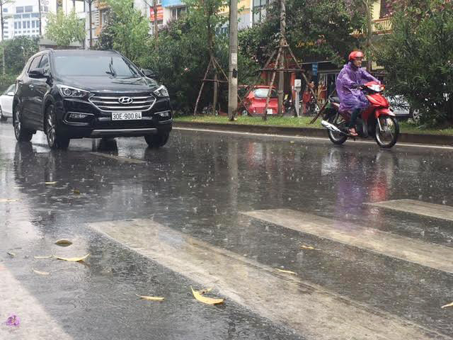 ha noi duoc giai nhiet bang con mua rao chieu nay hinh anh 1