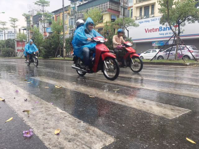 ha noi duoc giai nhiet bang con mua rao chieu nay hinh anh 2