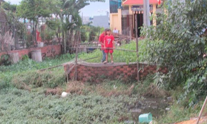 Chồng hờ truy sát vợ, quăng xuống ruộng rau