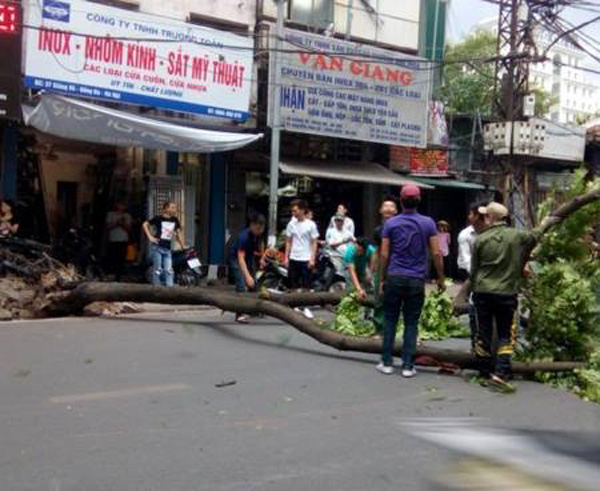 mua dong khung khiep trut xuong ha noi cham dut tran nong nhat trong lich su - 11