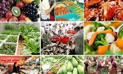 An toàn thực phẩm vẫn là rào cản lớn cho xuất khẩu