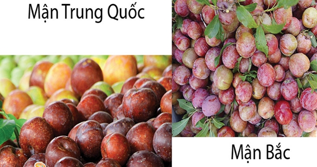 Mận hậu loạn giá, hàng Trung Quốc đội lốt Việt Nam Man hau loan gia, hang Trung Quoc doi lot Viet Nam