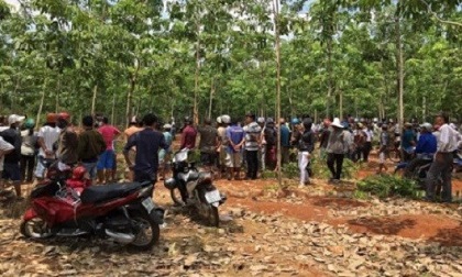 Khởi tố vụ án hiếp dâm người tâm thần trong rừng keo
