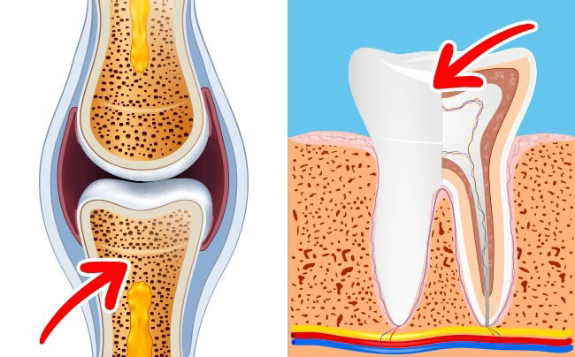 Quan niệm ăn trứng nhiều có hại xưa rồi, 2 quả mỗi ngày cho lợi ích thần kỳ - 3