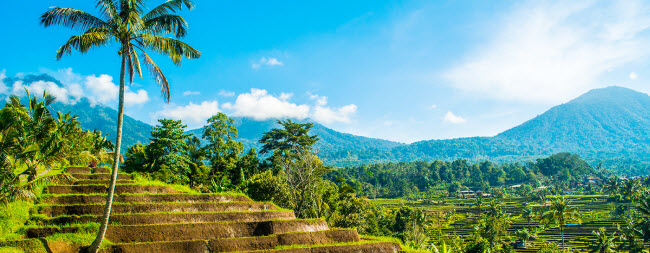 Hành trình khám phá Bali trong 48 giờ - 5