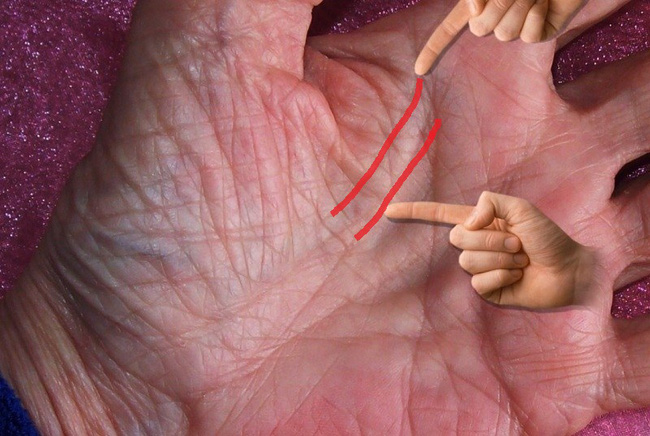Phải là người may mắn lắm mới có đường này trên bàn tay, bạn có không? - Ảnh 1.