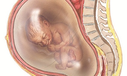 Tại sao trẻ có thể chết ngay tức khắc sau khi sinh vì thuốc lá?