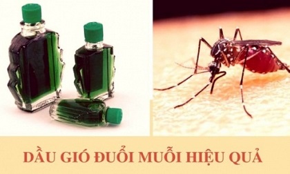 Đảm bảo nhà bạn không thấy ‘bóng dáng’ con muỗi nào chỉ với dầu gió