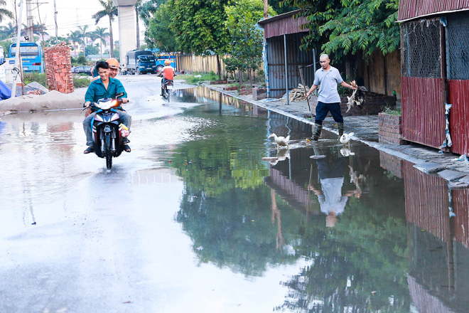 Hà Nội: Ngập úng quanh năm, người dân thả vịt ngay trên đường khu đô thị - Ảnh 5. Hà Nội: Ngập úng quanh năm, người dân thả vịt ngay trên đường khu đô thị - Ảnh 5.