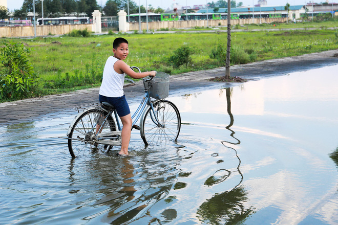 Hà Nội: Ngập úng quanh năm, người dân thả vịt ngay trên đường khu đô thị - Ảnh 9. Hà Nội: Ngập úng quanh năm, người dân thả vịt ngay trên đường khu đô thị - Ảnh 9.