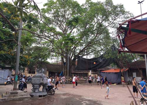 gan nha chau be 35 ngay tuoi chet trong chau nuoc, mot be trai 9 tuoi suyt bi bat coc - 1