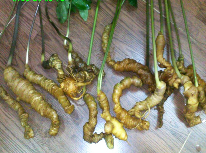 Top 10 đặc sản làm quà của Việt Nam, ăn một lần là nhớ suốt đời - 9