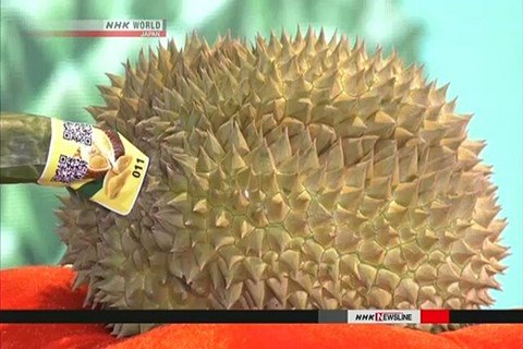 20170613161017-sau-rieng-xahoi.com.vn-w480-h320