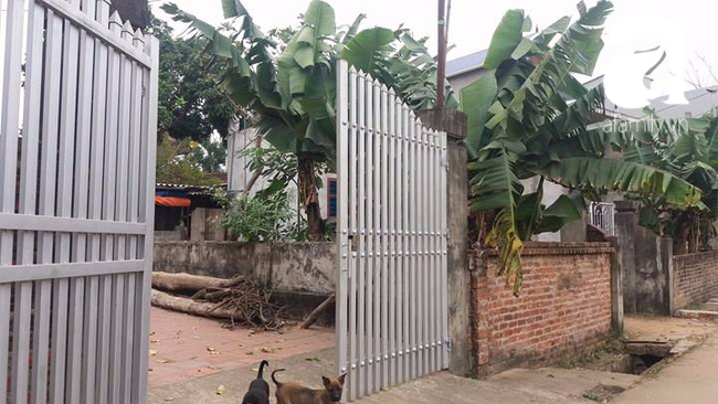 Xót xa những vụ án đau lòng mẹ giết con thơ vì trầm cảm sau sinh - Ảnh 4.