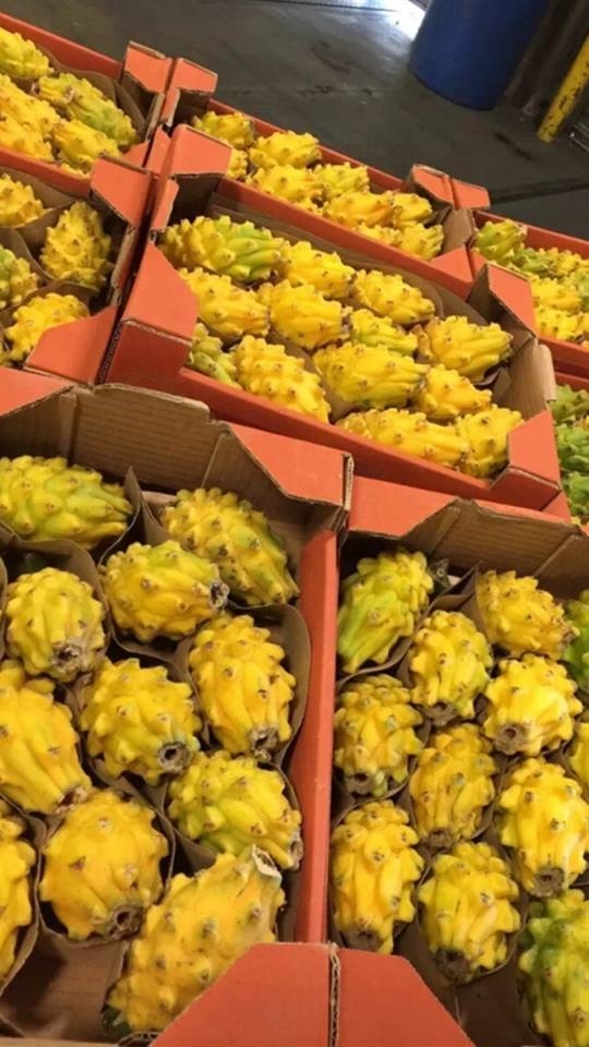 Những loại trái cây chỉ nhà giàu mới dám ‘săn’ Nhung loai trai cay chi nha giau moi dam ‘san’