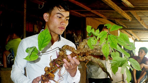 Hành trình đổi mạng lấy 