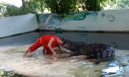 Kinh hoàng: nghệ sĩ xiếc nổi tiếng Thái Lan bị cá sấu ngoạm đầu, hôn mê