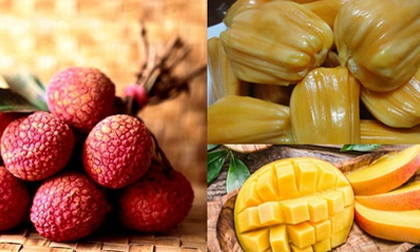 Mít, vải, xoài đang vào mùa: Những lưu ý khi ăn không được bỏ qua để bảo vệ sức khỏe