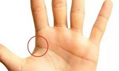 Nhìn xuống bàn tay xem có 3 vân này không? Tay trái thì quyền lực, tay phải phát tài, tiền đếm không hết