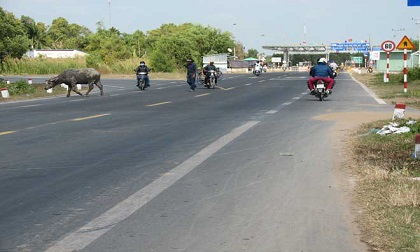 Ba thanh niên tấn công CSGT, cướp xe vi phạm bị khởi tố