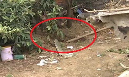 Gã đàn ông giết vợ, chôn xác trong vườn nhà suốt 5 năm mới bị phát hiện
