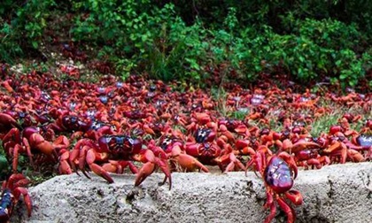 Kinh ngạc trước những hiện tượng thiên nhiên ngoạn mục nhất TG