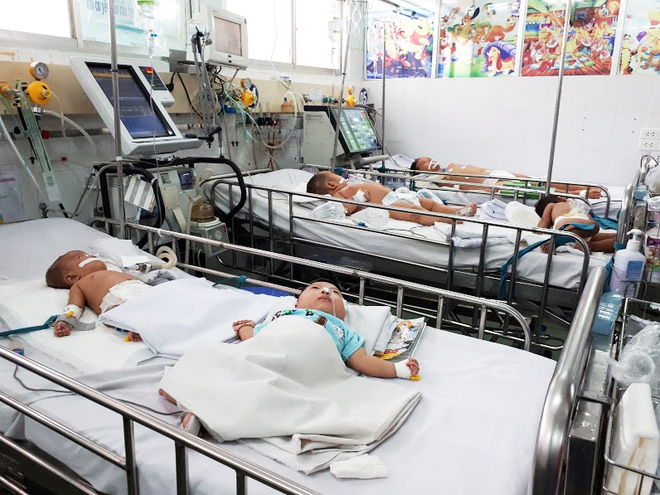 TP.HCM: 6 trẻ phải thở máy rất nặng vì viêm não Nhật Bản - Ảnh 1.