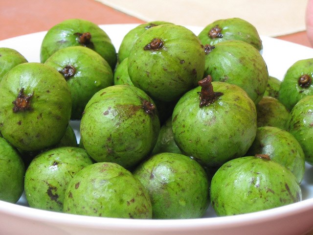Những bài thuốc chữa bệnh siêu tuyệt vời từ quả sấu ai cũng nên biết - Ảnh 1. Những bài thuốc chữa bệnh siêu tuyệt vời từ quả sấu ai cũng nên biết - Ảnh 1.