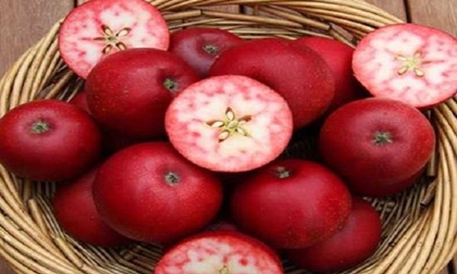Tròn mắt trước những giống rau củ quả độc đáo “chất phát ngất“, nhất định phải thử một lần