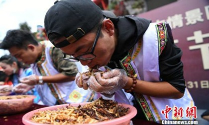 Ăn hết 1.23kg côn trùng trong 5 phút, người đàn ông lĩnh cả thỏi vàng
