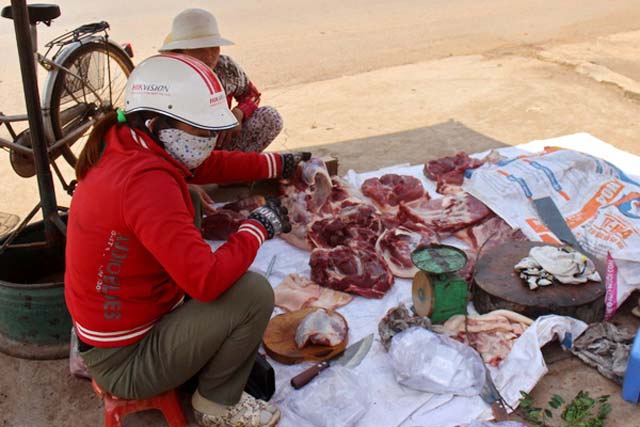 dan tụ mỏ lọn, bán vỉa hè rẻ giạt mình: 100.000 dòng/4kg hinh anh 3