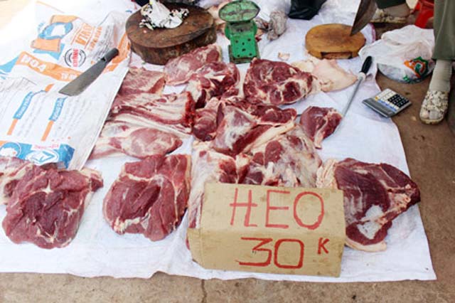 dan tụ mỏ lọn, bán vỉa hè rẻ giạt mình: 100.000 dòng/4kg hinh anh 2