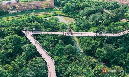 Đến Bangkok, đừng quên ghé khu rừng thần tiên được xây từ... bãi rác của người Thái
