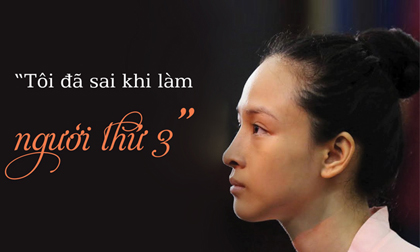 Trương Hồ Phương Nga: 'Tôi đã sai khi làm người thứ ba'
