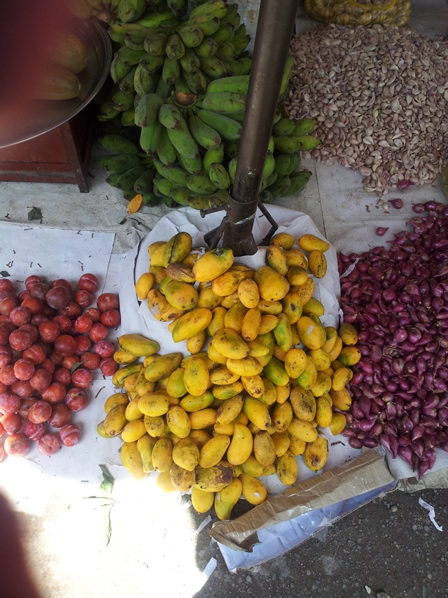 Xoai mut Trung Quoc doi lot xoai Chau Doc