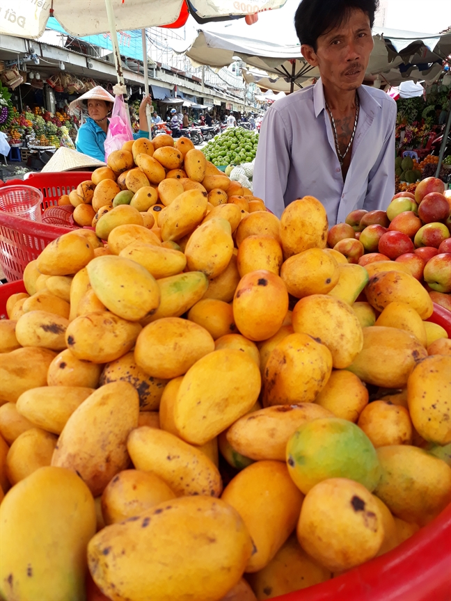Xoai mut Trung Quoc doi lot xoai Chau Doc