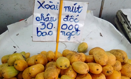 Xoài mút Trung Quốc đội lốt xoài Châu Đốc