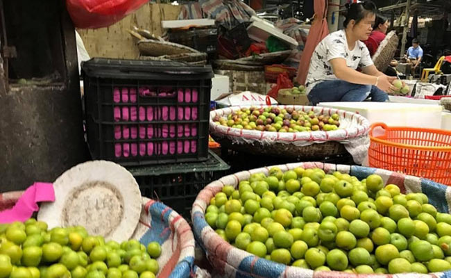 Đào, mận Trung Quốc đội lốt đặc sản Tây Bắc 